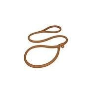 10 Lasso Frees That You Can Download To Computer