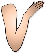 painted right female hand