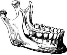 Barry Family Dental Group drawing