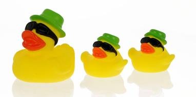 Buy Rubber Duck drawing