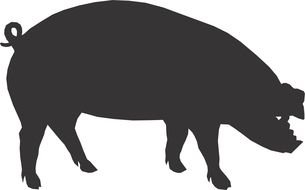 drawn dark gray silhouette of a pig