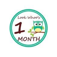 Instant Download Monthly Owl Tummy Tags Diy Printable Stickers
