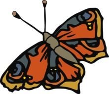 butterfly drawing on a white background