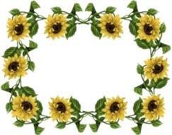 Sunflower Border drawing