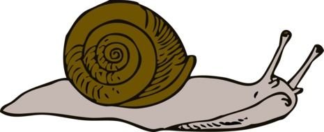 sad Snail Drawing F