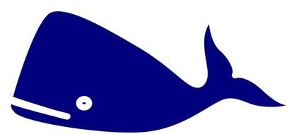 Blue Whale Bluewhale Vector