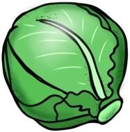 Clip Art of the cabbage