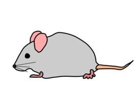 drawn profile of a gray mouse on a black background