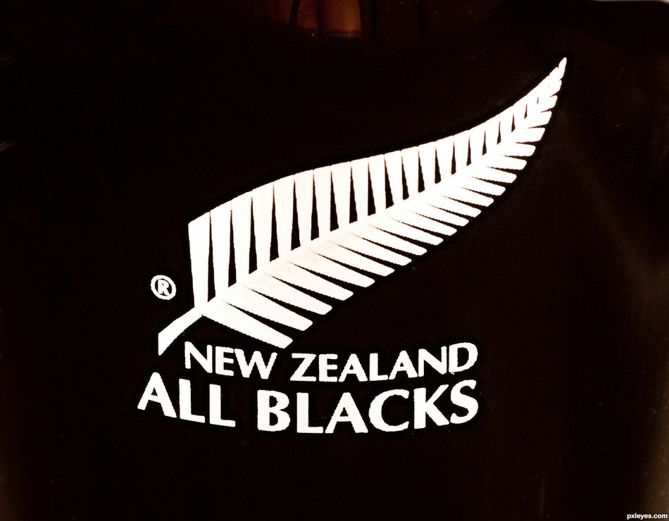 Clipart of New Zealand all blacks logo