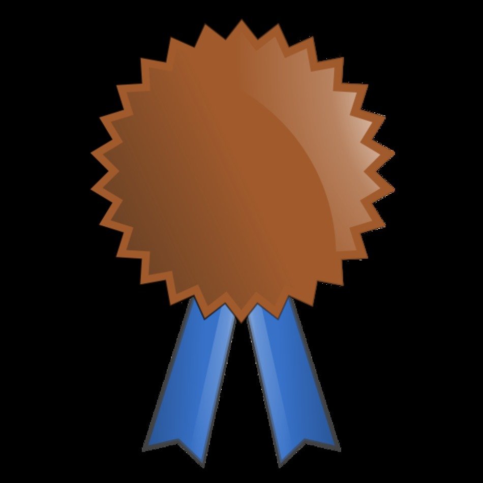 Bronze Medal 11 Small 300pixel Size Free Design