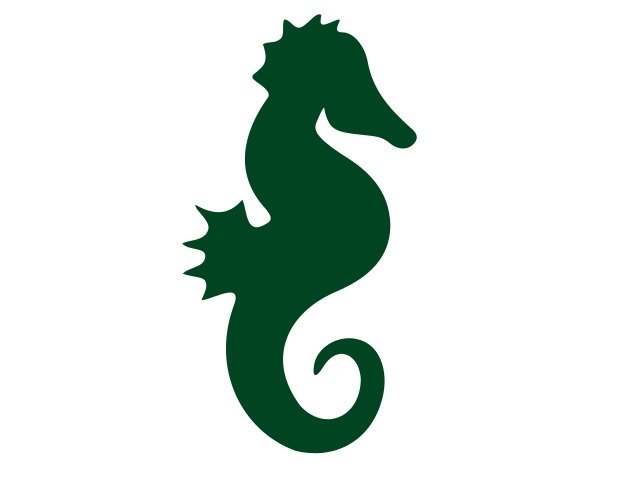 Seahorse For Preschoolers Panda Free