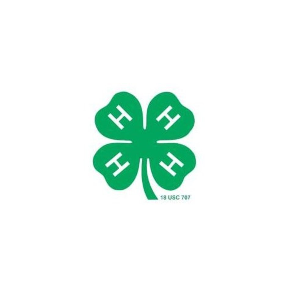 Clover Border Wedding Decorate Ideas