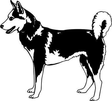 Phoenix clipart