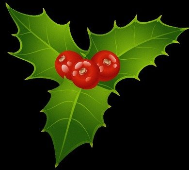 21 13 0159 Christmas Red Stocking With Bear Transparent Png