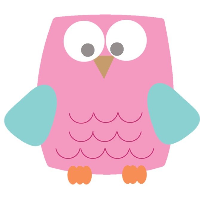 Pink Owl N4
