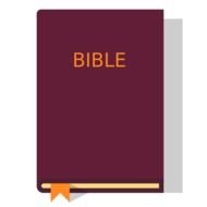 painted burgundy bible