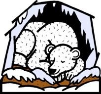 To Z Kids Stuff Hibernation