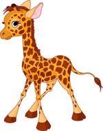 Clipart of the cute young giraffe