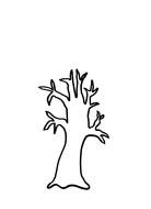 dry tree as a picture for clipart