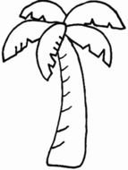 painted banana palm in coloring book