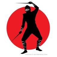 Ninja Warrior Vector Graphics Download At Vectorportal