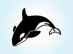 sea whale on a blue background