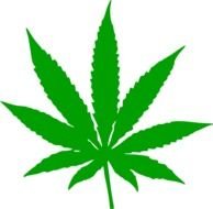 green Smoke leaf drawing