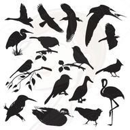 Digital Bird Decorative Scrapbook Supplies Black