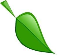 graphic green leaves