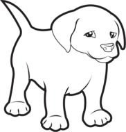 Free Clip Art Animals &187 Pets Labrador Puppy B&w