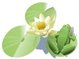 painted green frog and white lotus