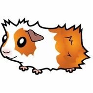 Cartoon Guinea Pig Red Dutch Cut Outs Zazzle