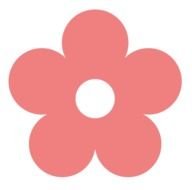 abstract pink flower with five petals, drawing
