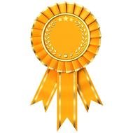 yellow medal with ribbon on a white background