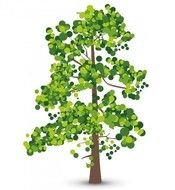 green bigTree drawing