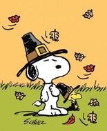 Happy Thanksgiving Snoopy Pinterest