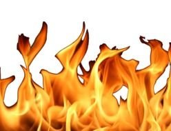 orange flame of fire on a white background