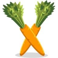 Two Carrots drawing