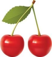 red cherry on the white background