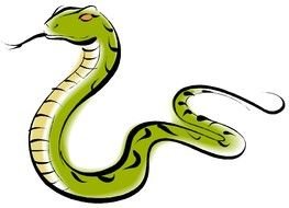 Drawing of the snake