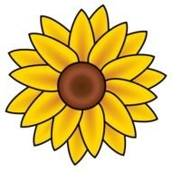 nice Sunflower drawing