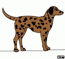 You Need To Enable Javascript N412