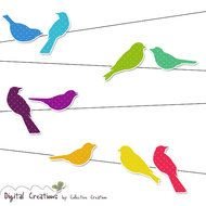 Rainbow Bird Silhouettes On Wire Digital Set Ideal For