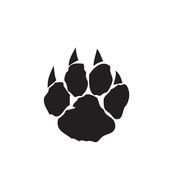 Wildcat Paw Prints drawing