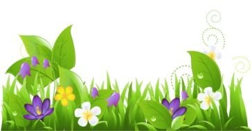 painted spring meadow flowers on a white background