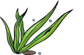 Weeds Cartoon drawing