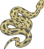 Ä°llustration of yellow snake