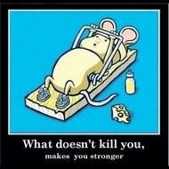funny mouse drawing in a mousetrap