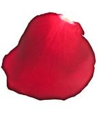 Clipart of red rose leaf