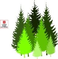 Pine Tree Grouping Atom